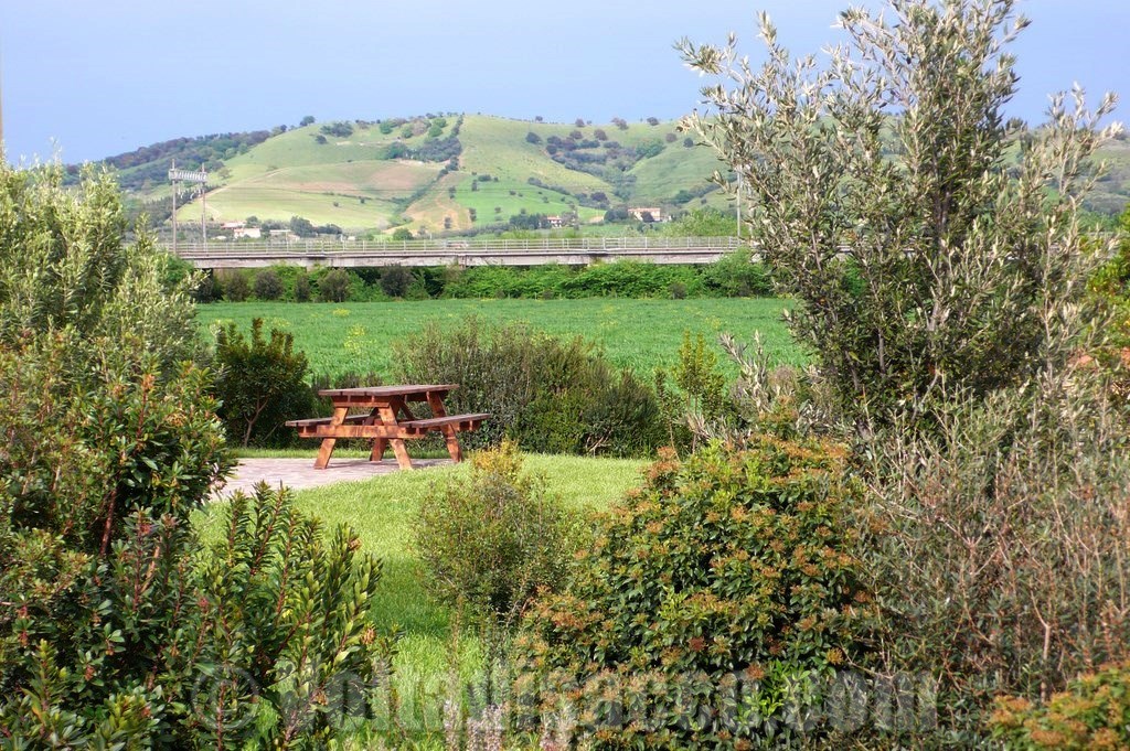 Agriturismo Volta di Sacco - il panorama toscano visto dal Marrucheto